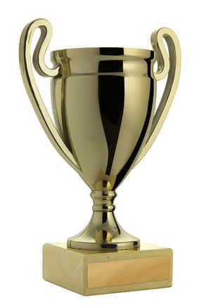 Gold cup - eagle rise sports