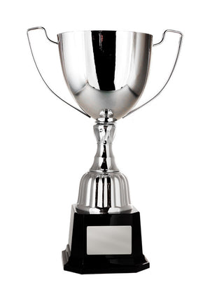 Victory cup - eagle rise sports