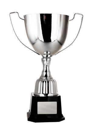 Victory cup - eagle rise sports