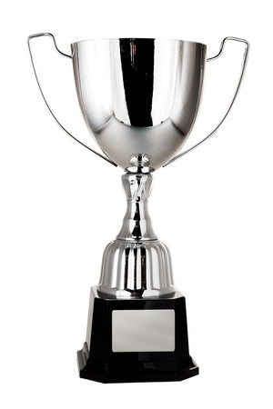Victory cup - eagle rise sports