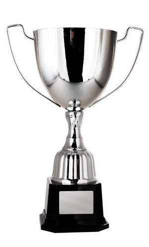 Victory cup - eagle rise sports