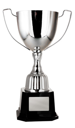 Victory cup - eagle rise sports