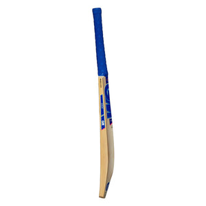 GM BAT SIREN DXM 606 TTNOW CRICKET BAT JUNIOR