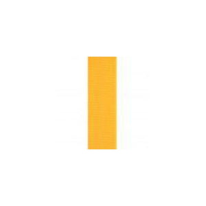 Gold Ribbon - eagle rise sports