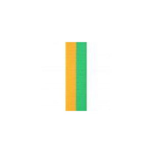 Green / Gold Ribbon - eagle rise sports