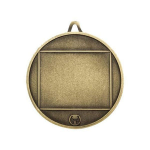 Heavyweight Cricket medal - eagle rise sports