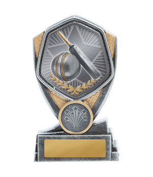 Hero Series Cricket trophy - eagle rise sports