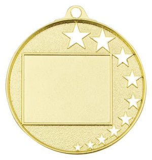 Hockey Stars Medal