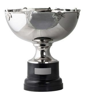Nickel Plated Cup & Base - eagle rise sports