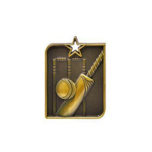 Rectangle Cricket Sculptured medal - eagle rise sports