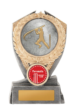 Hero Shield - Cricket trophy - eagle rise sports