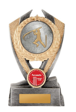 Hero Shield - Cricket trophy - eagle rise sports