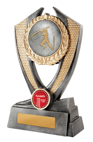 Hero Shield - Cricket trophy - eagle rise sports