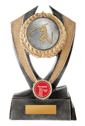 Hero Shield - Cricket trophy - eagle rise sports
