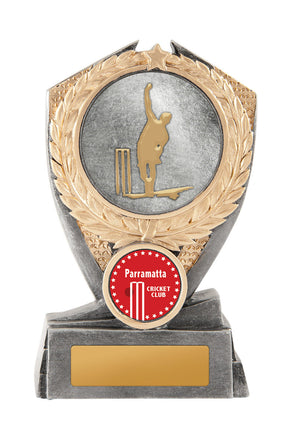 Hero Shield - Cricket trophy - eagle rise sports