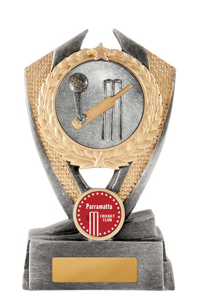 Hero Shield - Cricket trophy - eagle rise sports