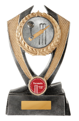 Hero Shield - Cricket trophy - eagle rise sports