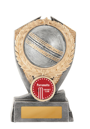 Hero Shield - Cricket trophy - eagle rise sports