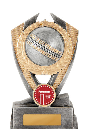 Hero Shield - Cricket trophy - eagle rise sports