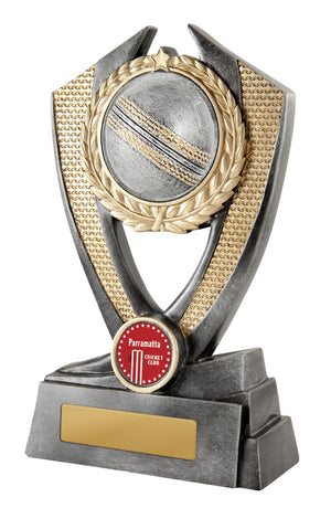 Hero Shield - Cricket trophy - eagle rise sports