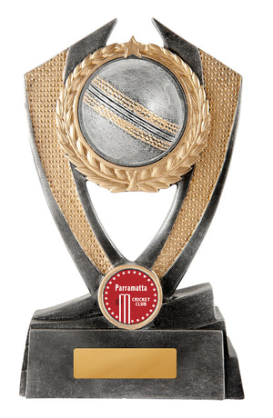 Hero Shield - Cricket trophy - eagle rise sports