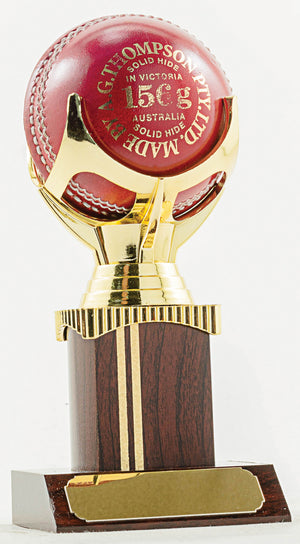 Ball Cricket Trophy