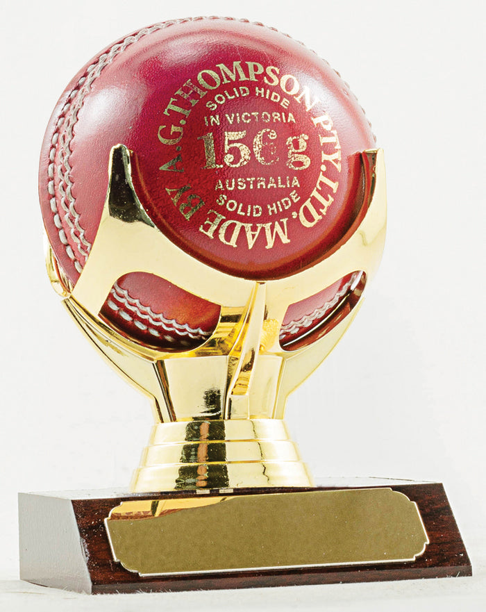 Ball Cricket Trophy