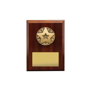 Star Award Plaque - eagle rise sports