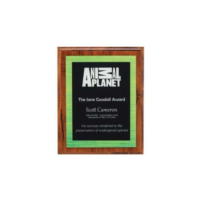 Vivid Plaque - Green