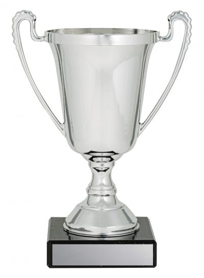 The Moment Silver