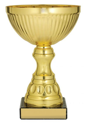 Gold Reverie cup - eagle rise sports
