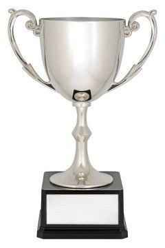 Recognition Cup