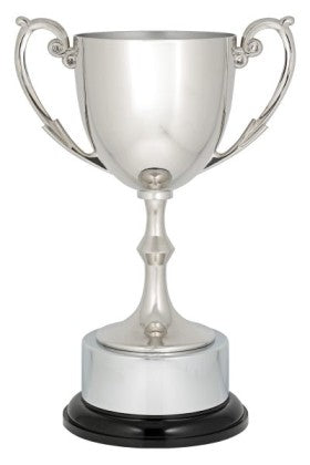Recognition cup - eagle rise sports