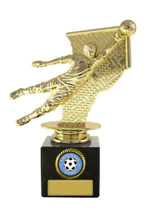 Goalkeeper on Column - eagle rise sports